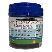 Onde Moro e o Que Como?