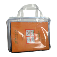 Pró-Ortografia Protocolo de Avaliação da Ortografia Para Escolares do 2° ao 5° Ano do Ensino Fundamental